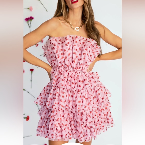 NWT Vici Heartbreaker Tulle Mini Dress - Picture 2 of 7